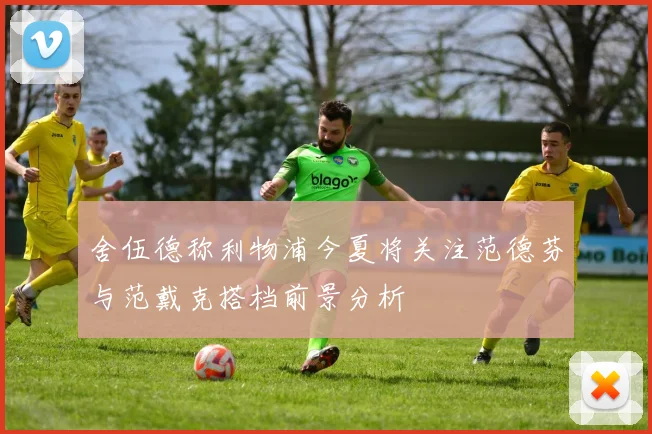 舍伍德称利物浦今夏将关注范德芬与范戴克搭档前景分析